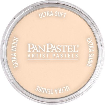 PANPASTEL ARTISTS PASTEL BURNT SIENNA TINT