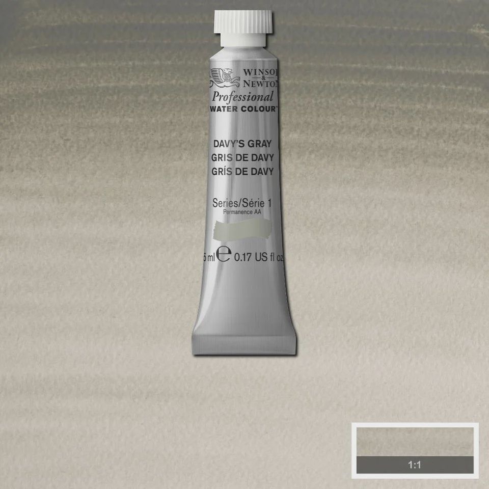 PROFESSIONAL WATER COLOUR DAVYS GRAY 5ML