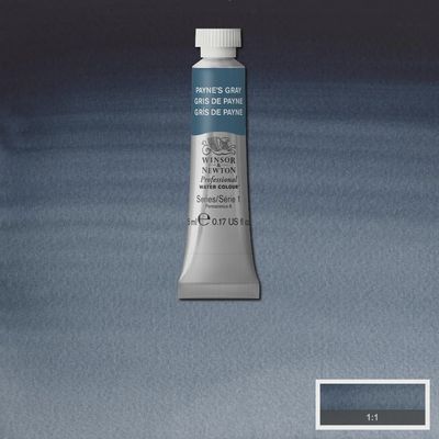 PROFESSIONAL WATERCOLOUR PAYNES GRAY 5ML