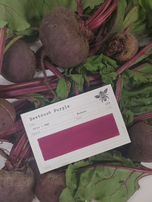 Beetroot Purple