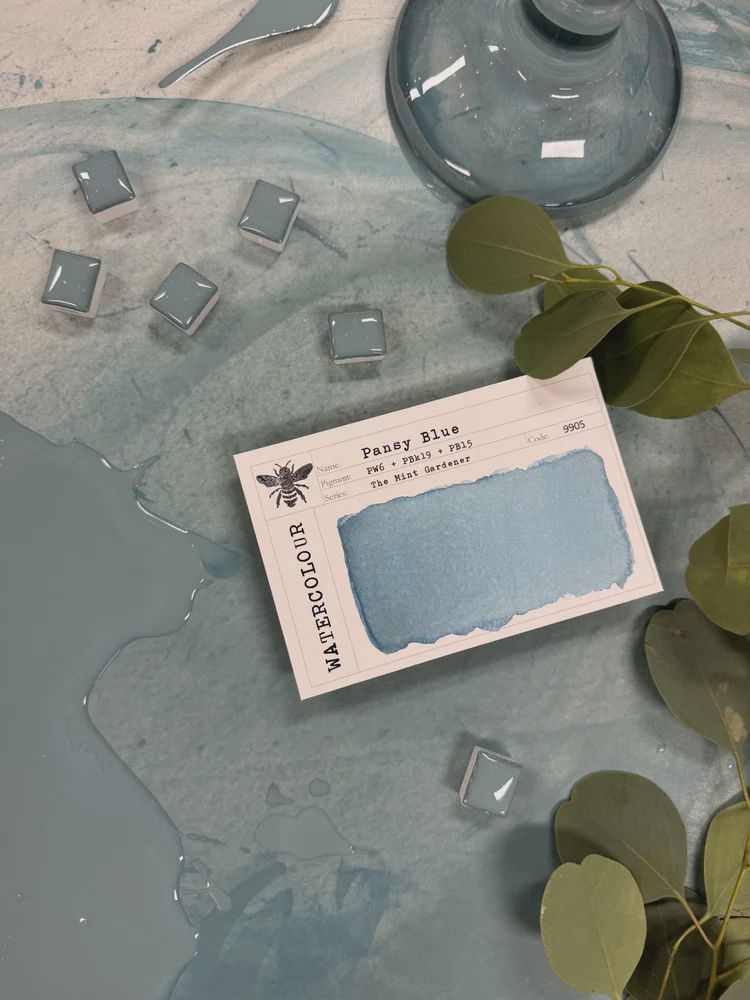 Pansy Blue