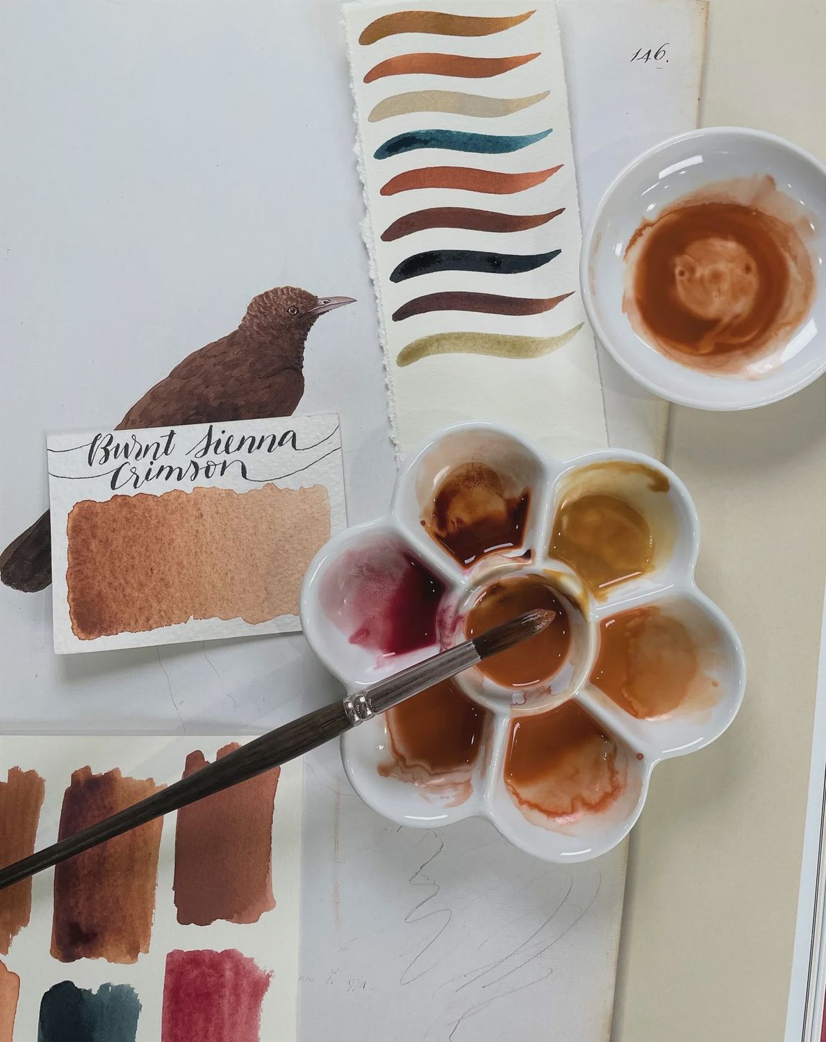 Burnt Sienna Crimson Shade