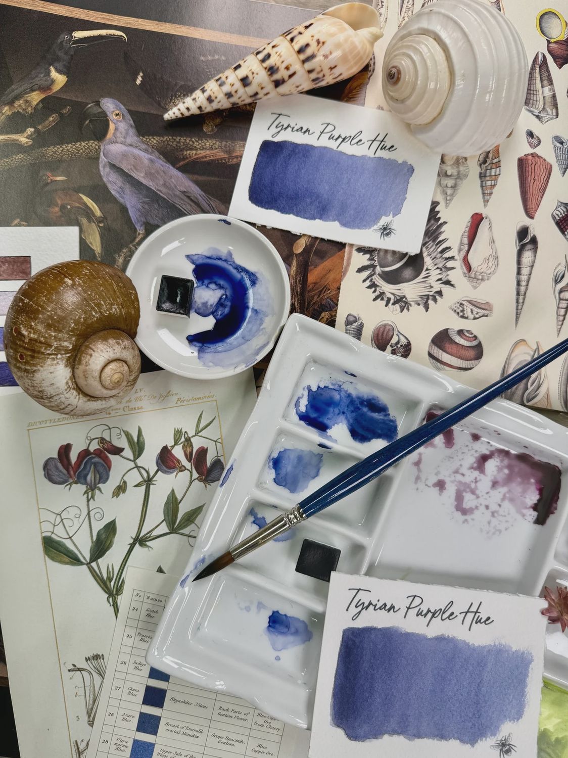 Tyrian Cobalt Purple