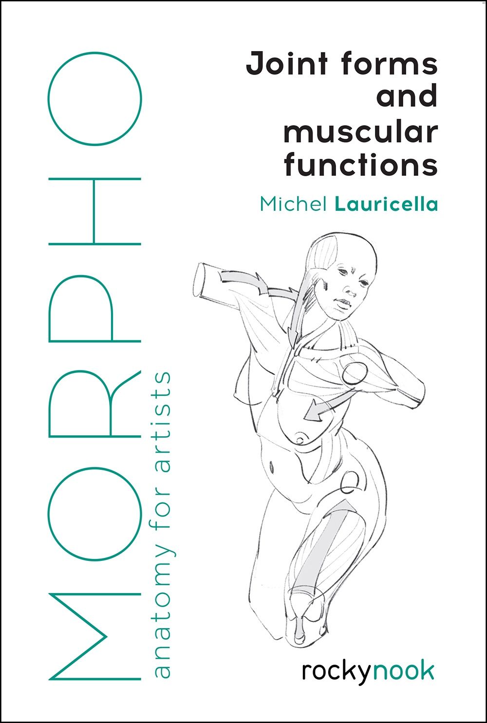 Morpho: Joint Forms and Muscular Functions
