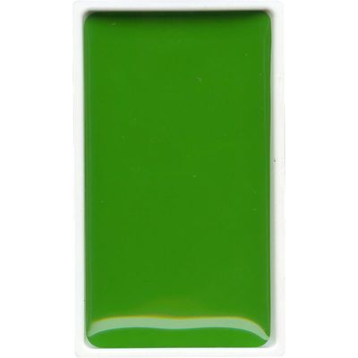 GANSAI TAMBI COLOR PAN SAP GREEN LIGHT