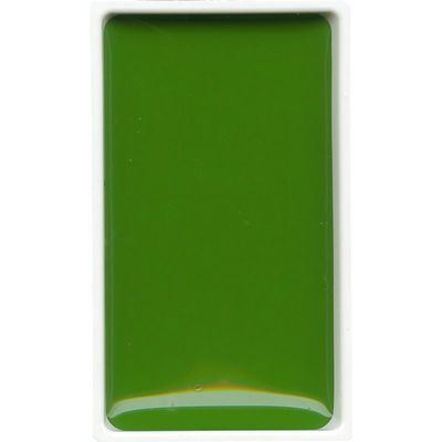 GANSAI TAMBI COLOR PAN SAP GREEN