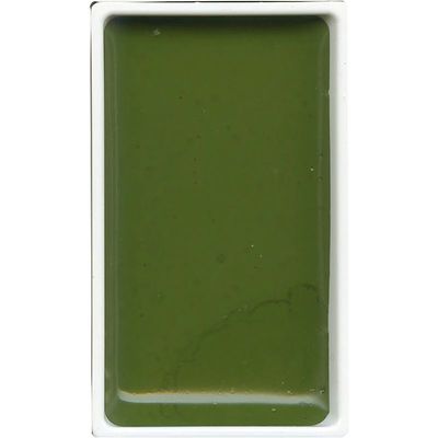 GANSAI TAMBI COLOR PAN OLIVE GREEN