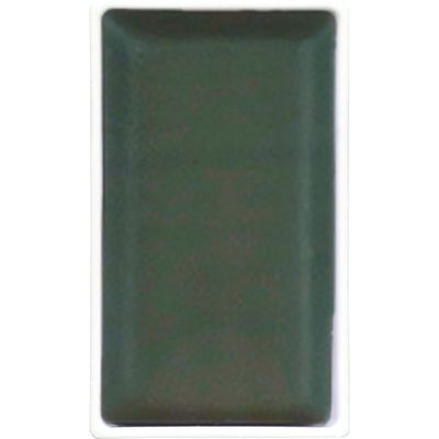 GANSAI TAMBI COLOR PAN GRAPHITE GREEN