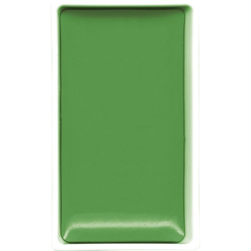 GANSAI TAMBI COLOR PAN IVY GREEN