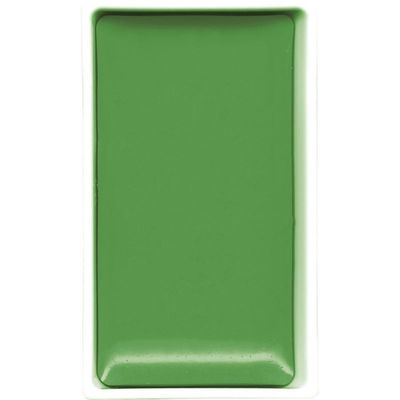 GANSAI TAMBI COLOR PAN IVY GREEN