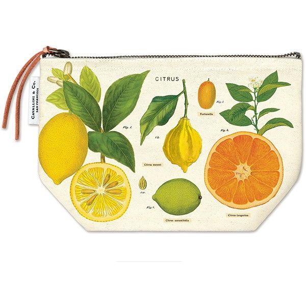 POUCH CITRUS
