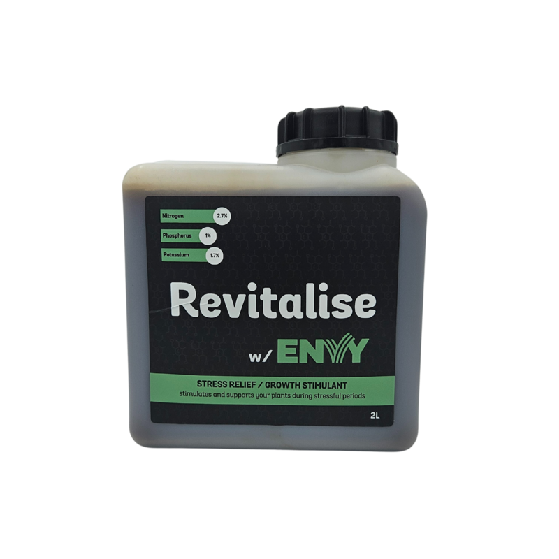 Revitalise w/ Envy