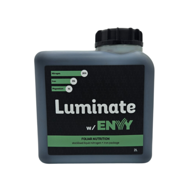 Luminate w/ Envy