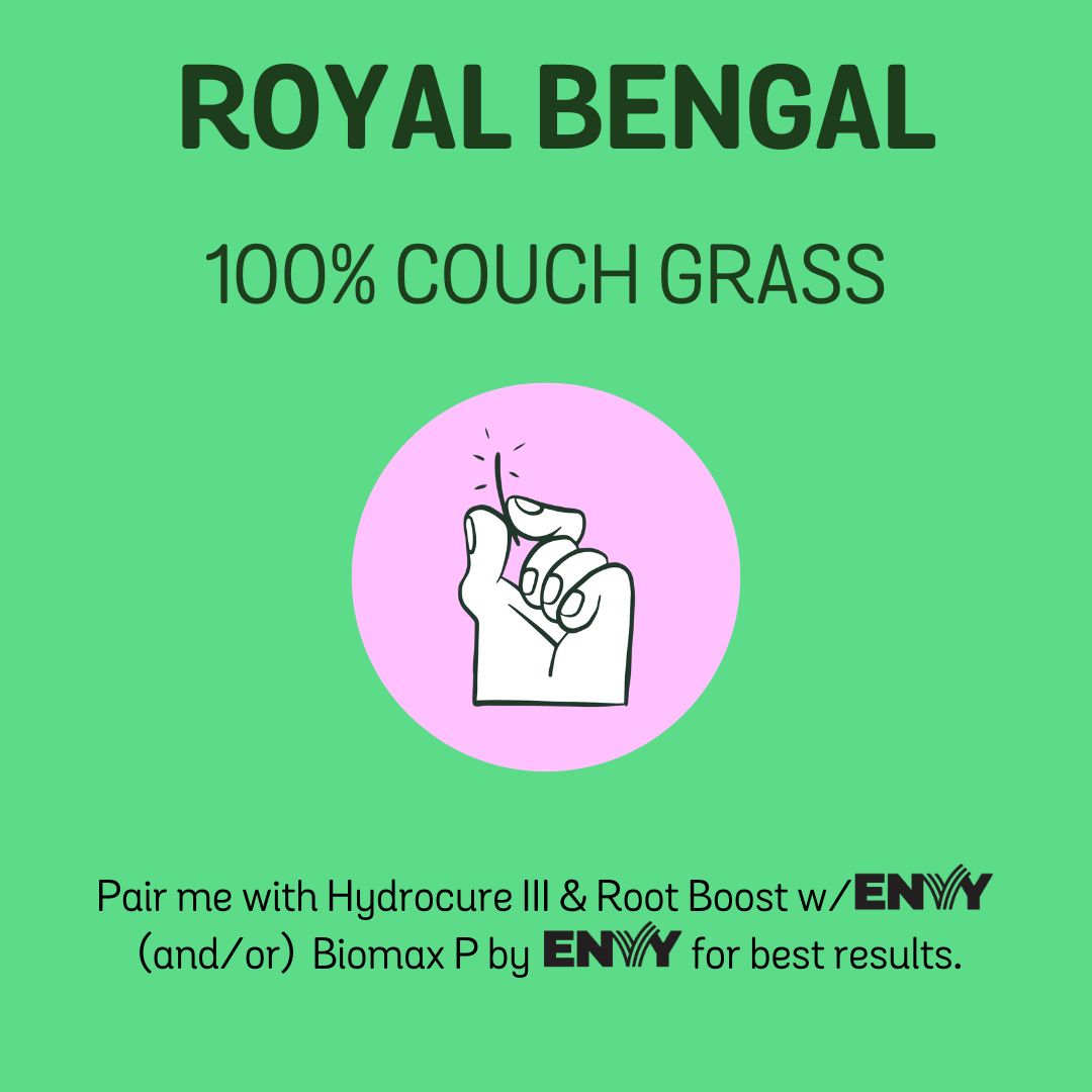 Royal Bengal 100% Couch Grass Seed