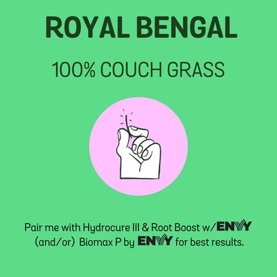 Royal Bengal 100% Couch Grass Seed