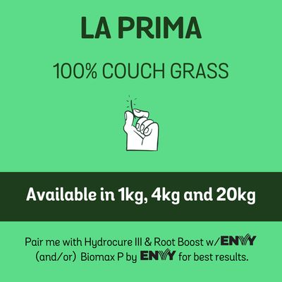 La Prima 100% Couch Grass Seed