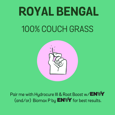 Royal Bengal 100% Couch Grass