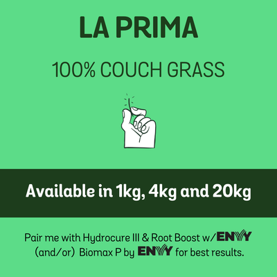 La Prima 100% Couch Seed