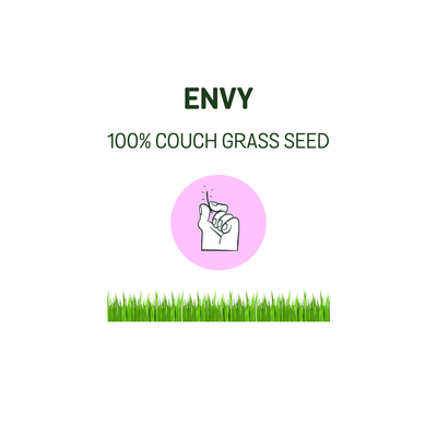 Turf Seed