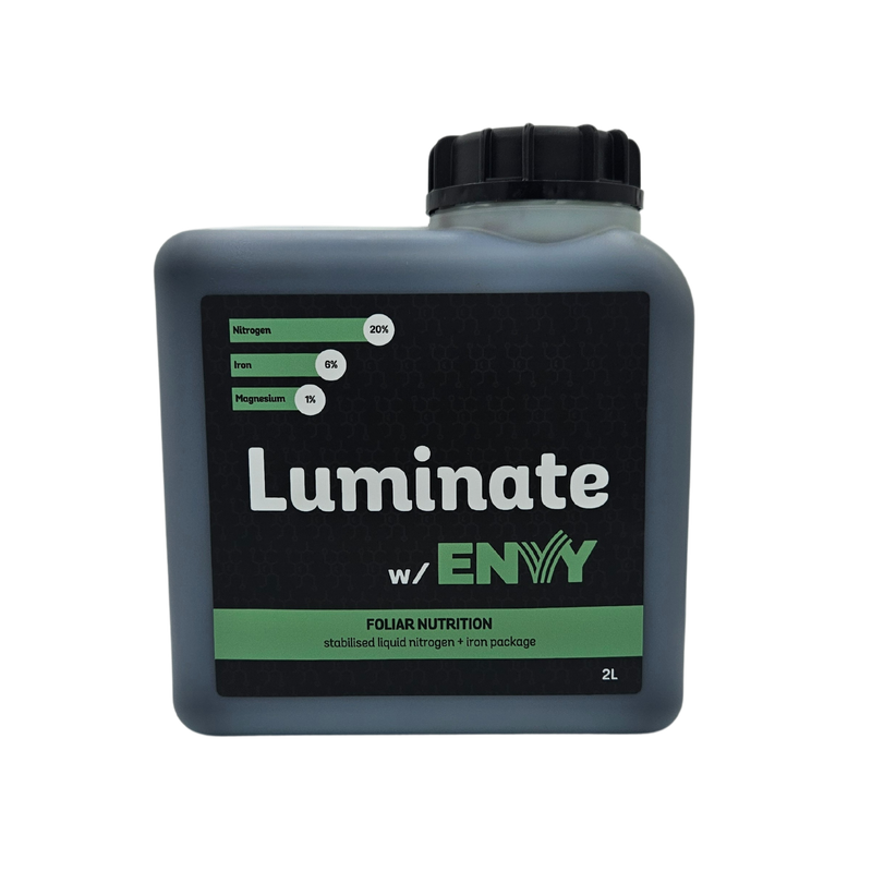 Luminate w/ Envy