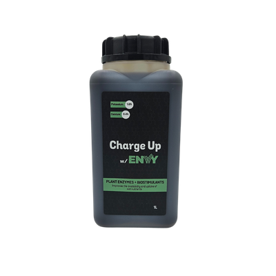 Charge Up w/ Envy Charge Up w/ Envy