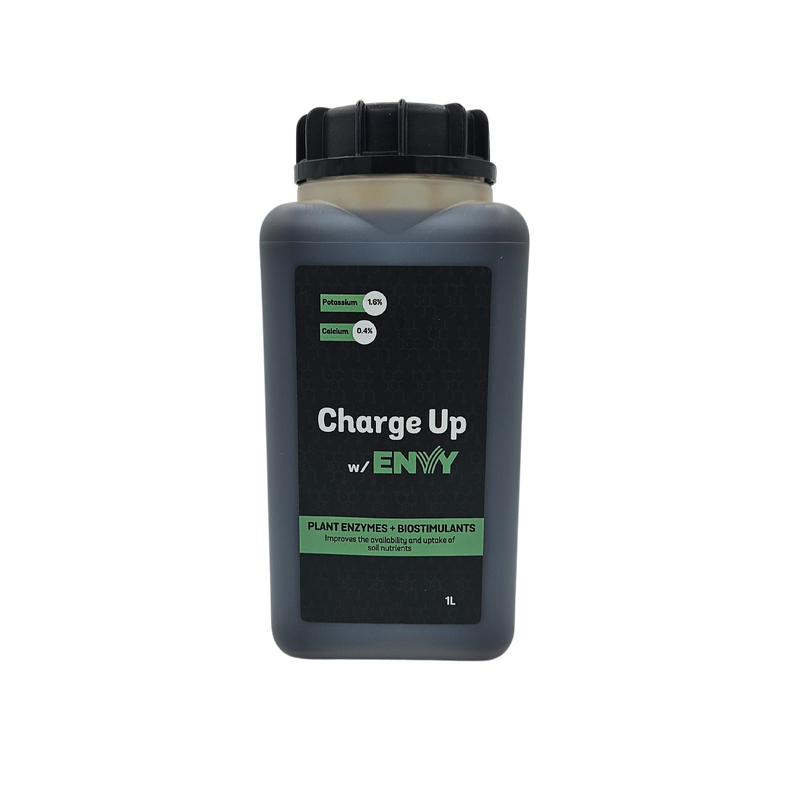 Charge Up w/ Envy