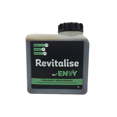 Revitalise w/ Envy Revitalise w/ Envy