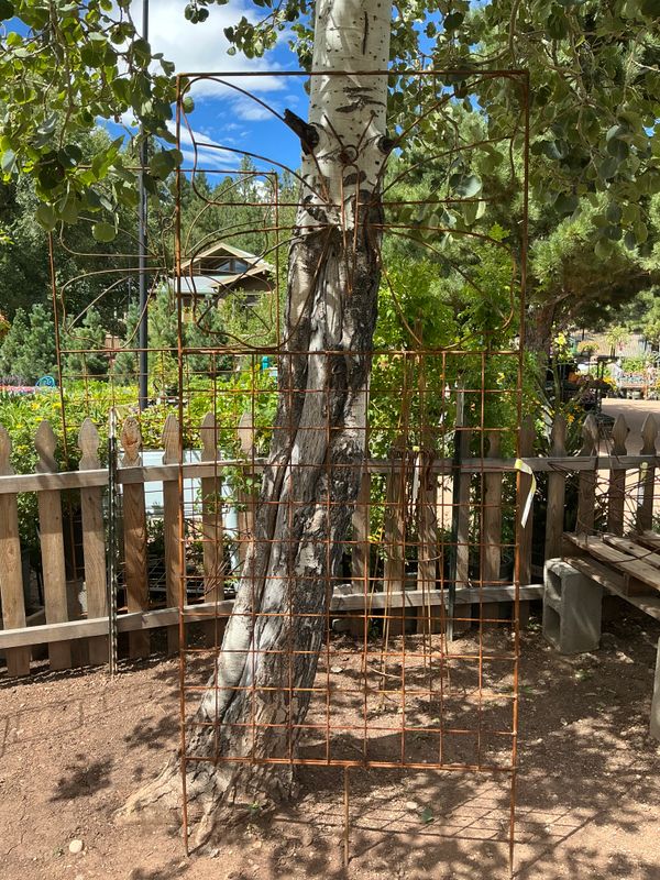 Butterfly Trellis - 6'x3'