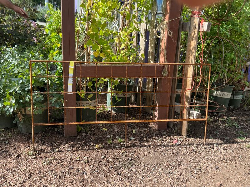 Border Trellis 16"t x 4'w