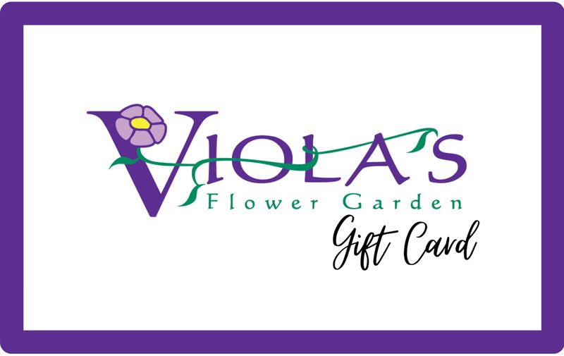 Viola's Gift Card