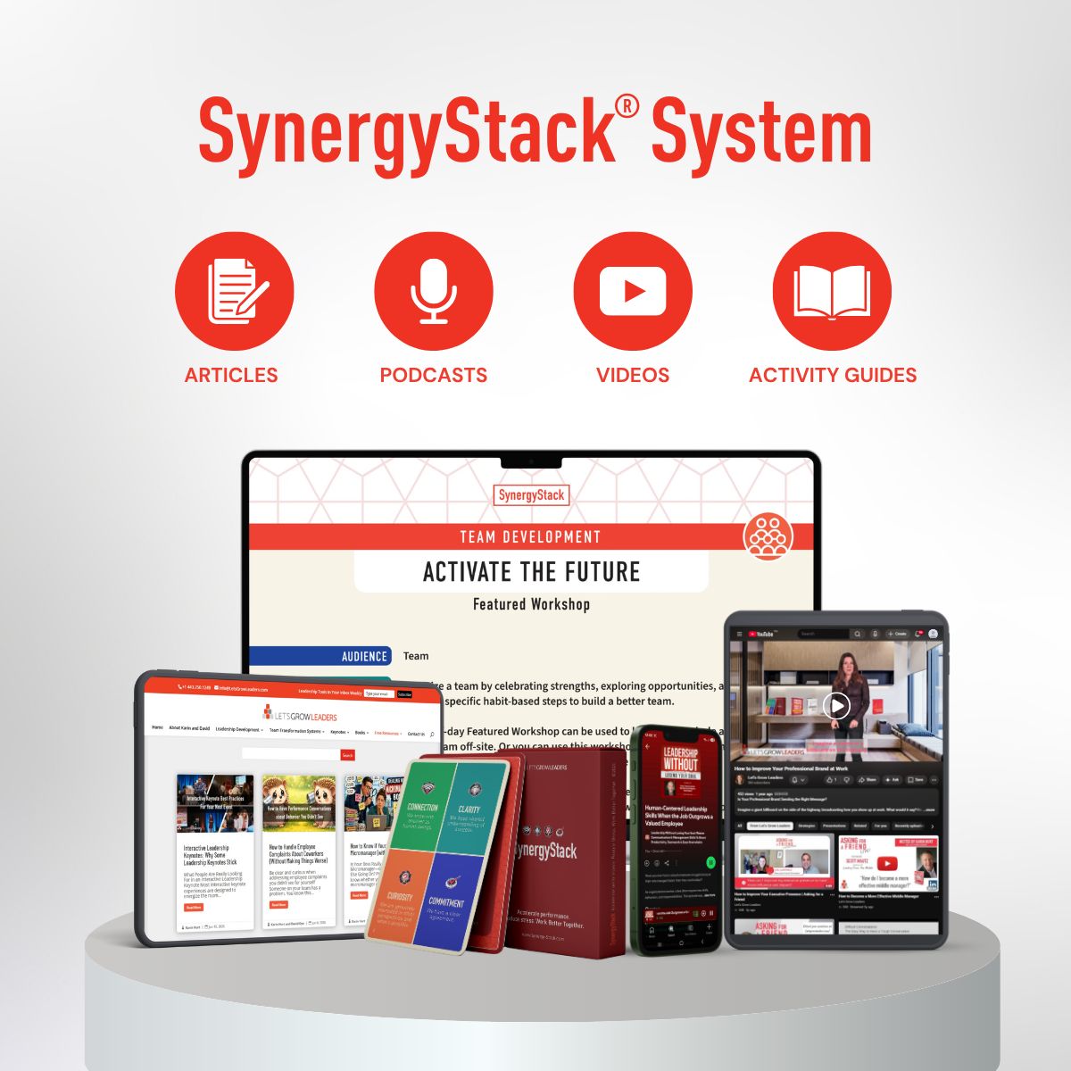 Sample SynergyStack® System (German Edition)