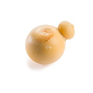 Cacio cavallo San Vincenzo