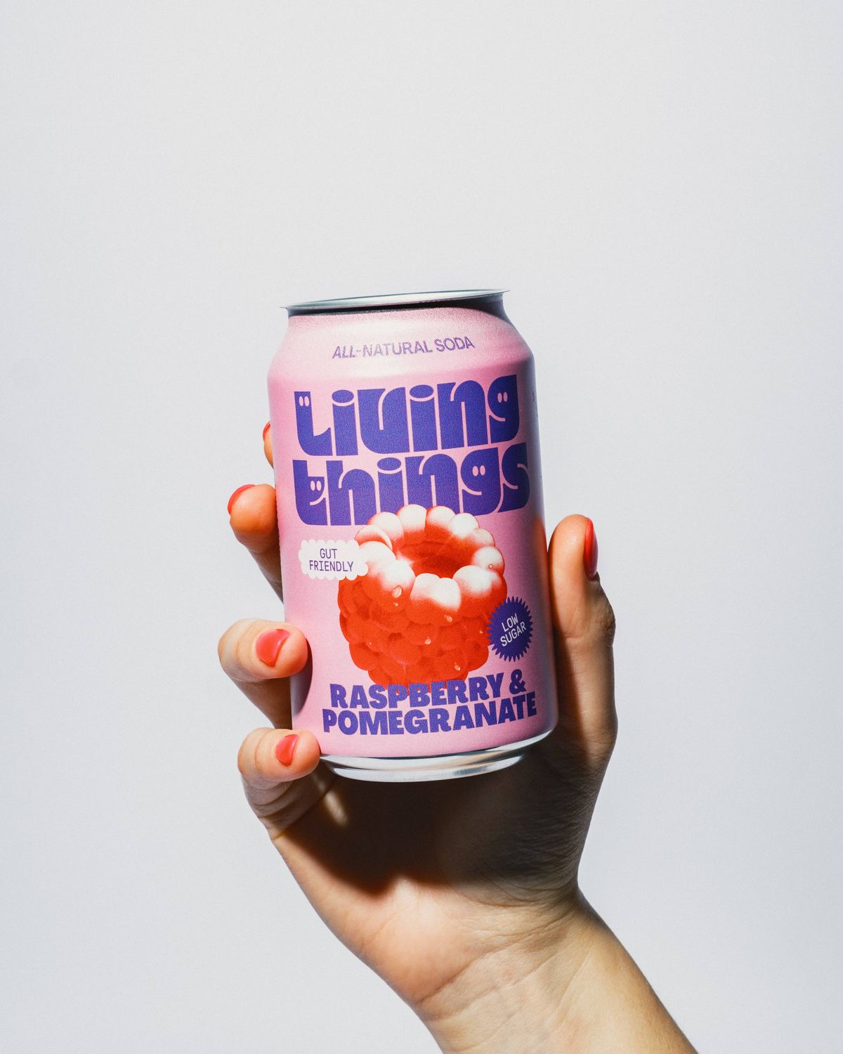 Raspberry &amp; Pomegranate Prebiotic Soda - Living Things