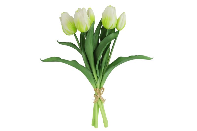 Tulpen Boeket Wit Kort