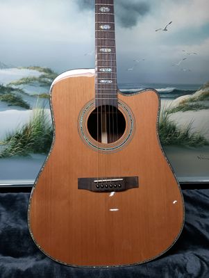 King of Kings Cedar Supernova cedar/rosewood cutaway combo