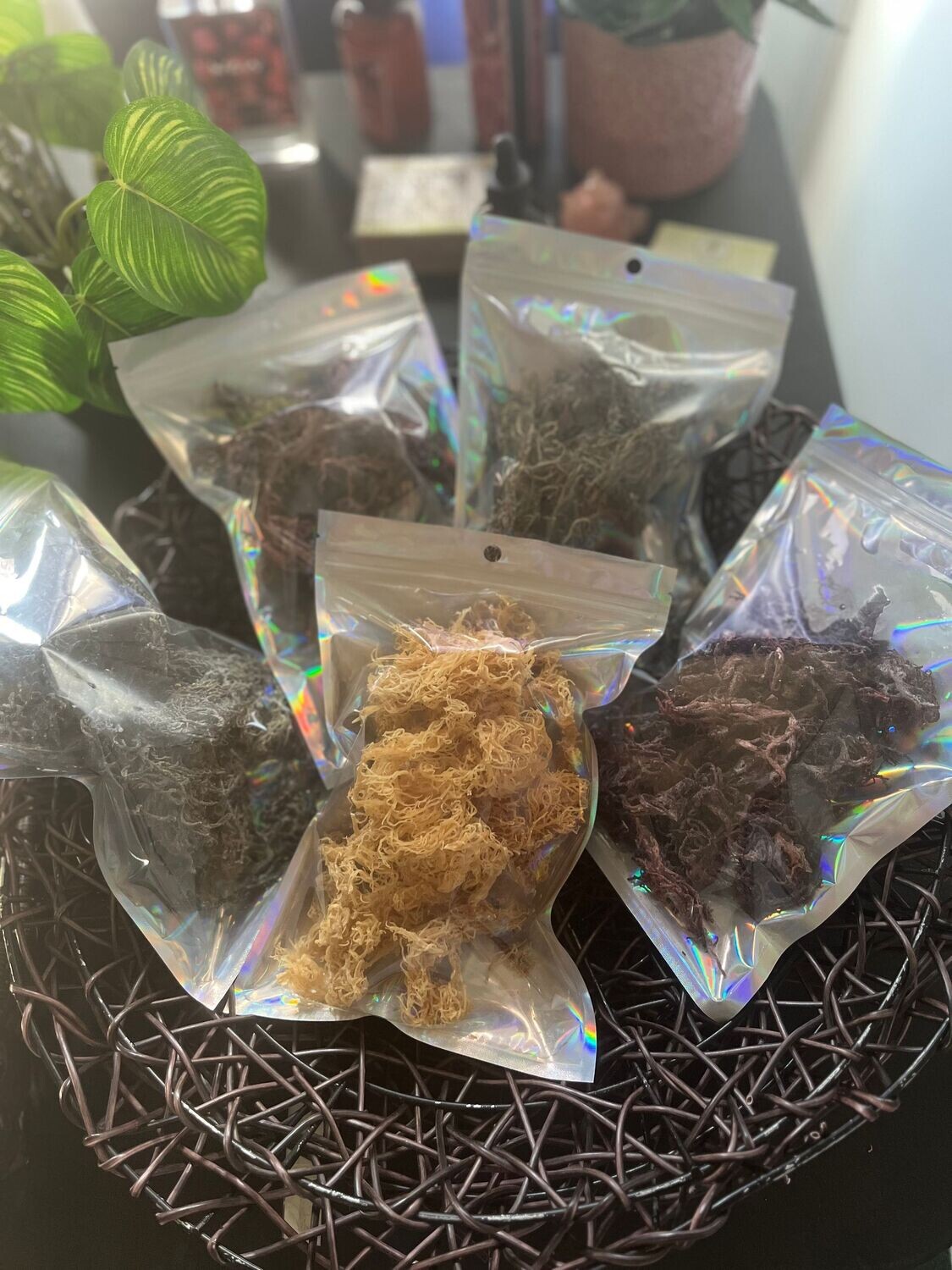 Dry Sea Moss