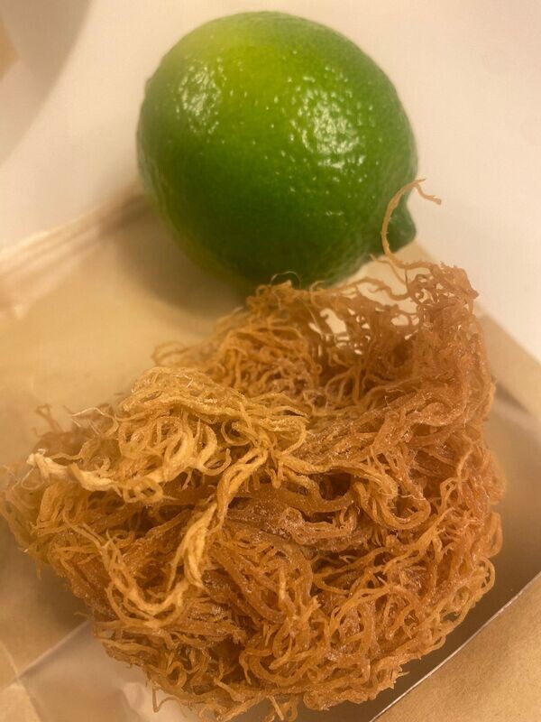 Raw Gold Sea Moss