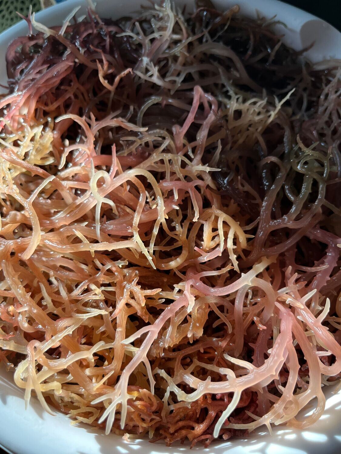 Raw Purple Sea Moss