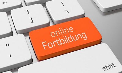 Online-Module