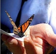 Memorial Butterfly Release