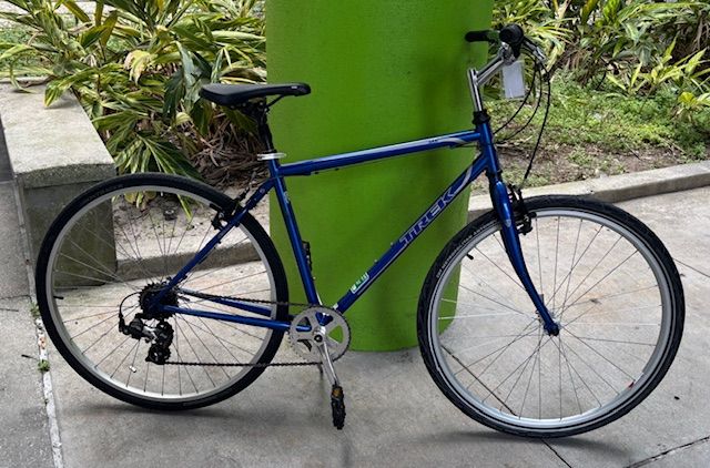 Trek 700 (20&quot;)