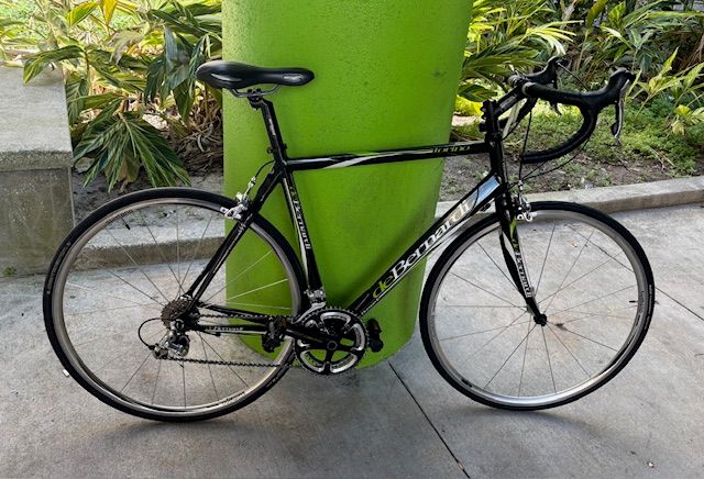 DeBernardi 56cm