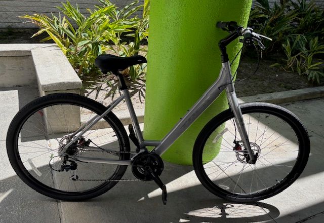 Trek Verve 3 (20&quot;)