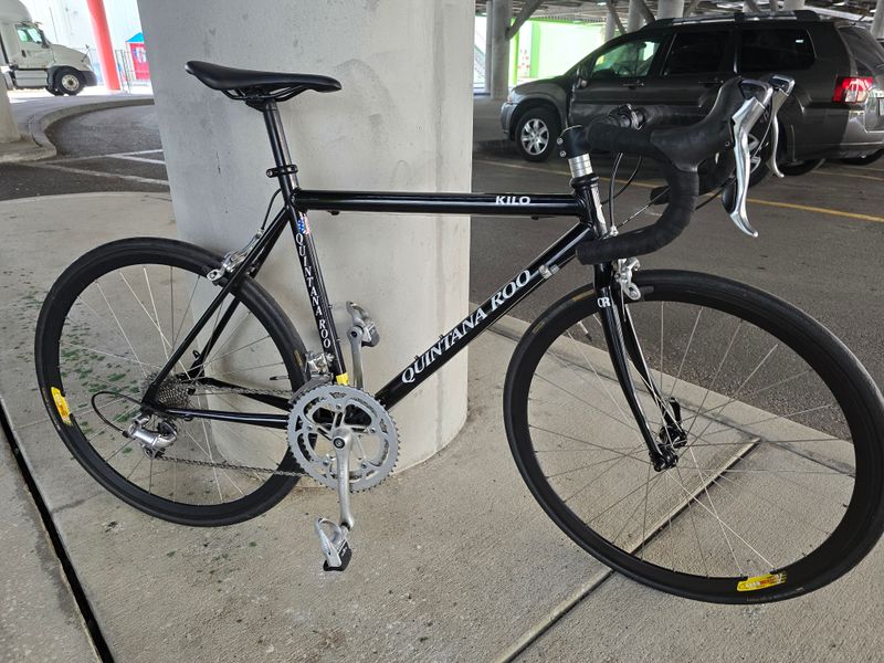 Quintana Roo Kilo (50cm)