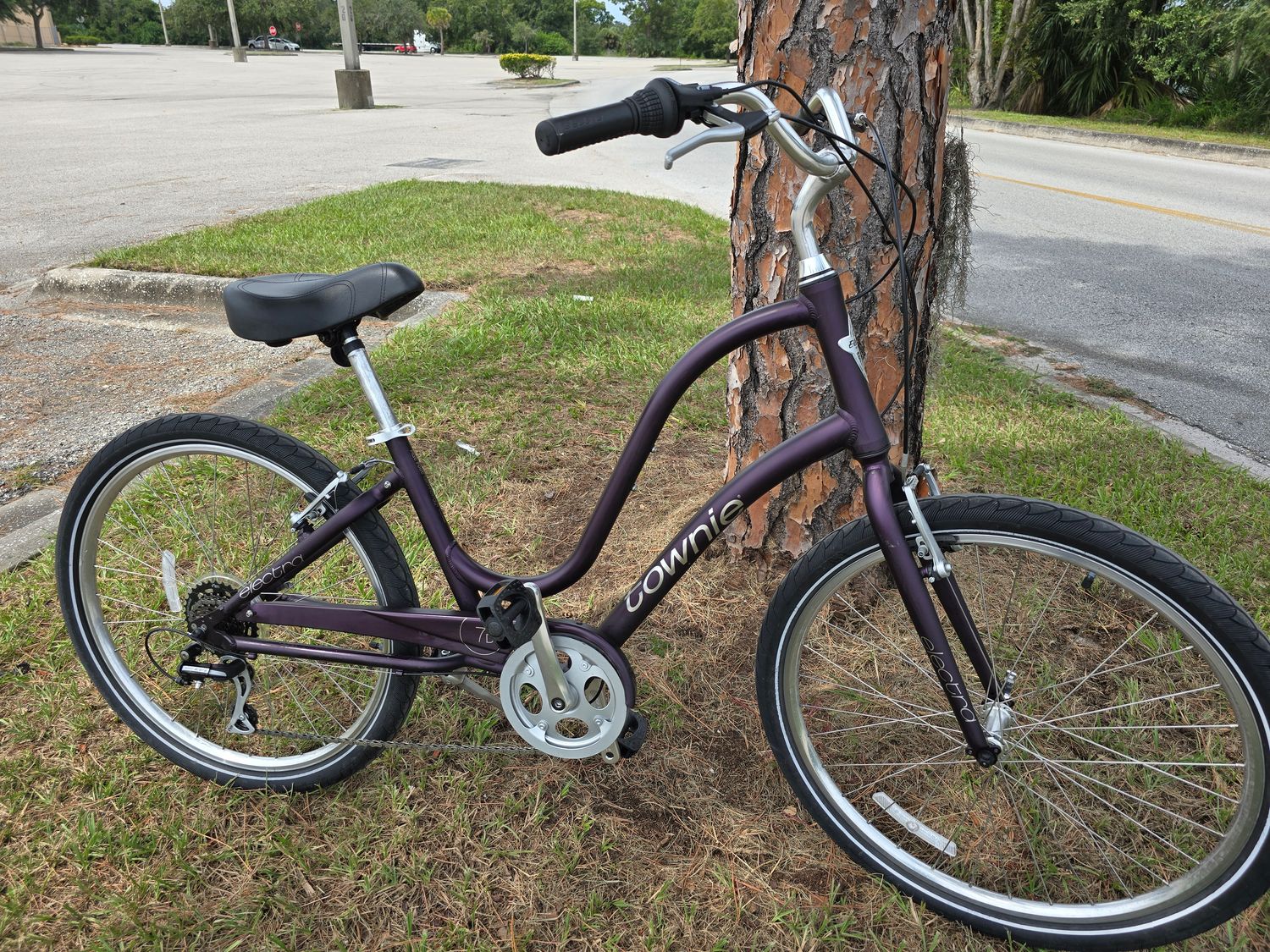 Electra Townie STD Size (Purple)