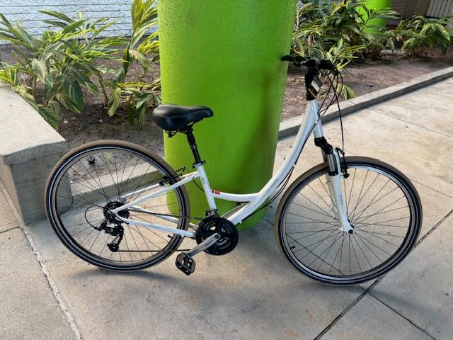 Specialized Globe Carmel (14.5&quot;)