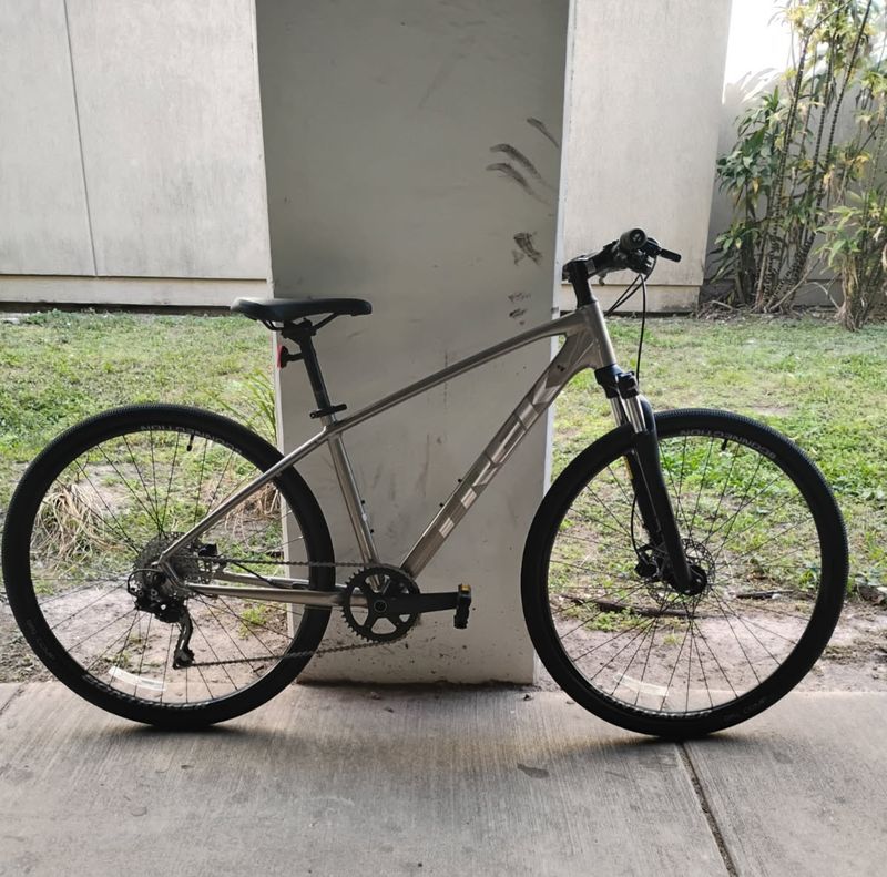 Trek Dual Sport (17.5")