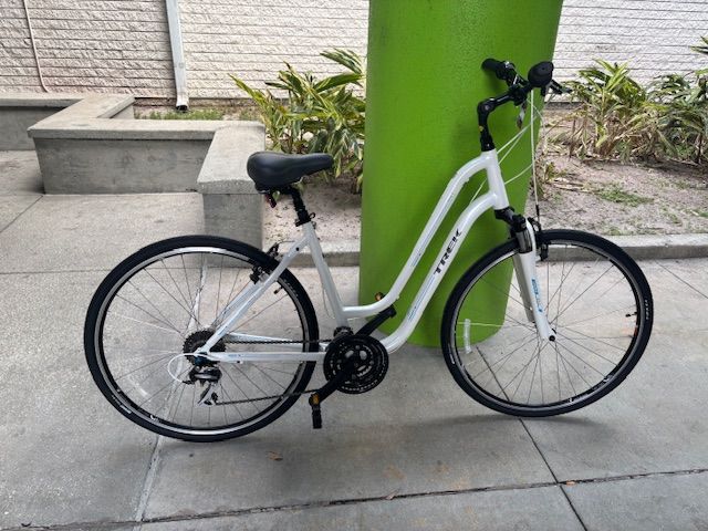 Trek Verve 3 (19")