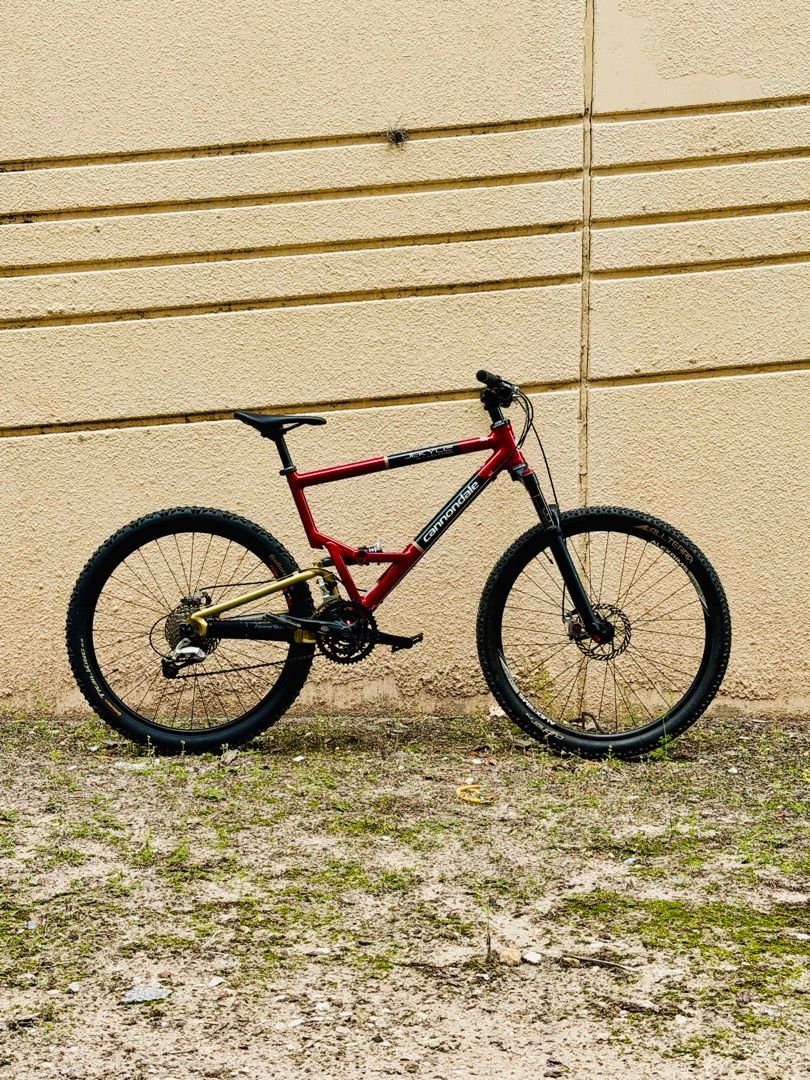 Cannondale Jekyll 600 (19")