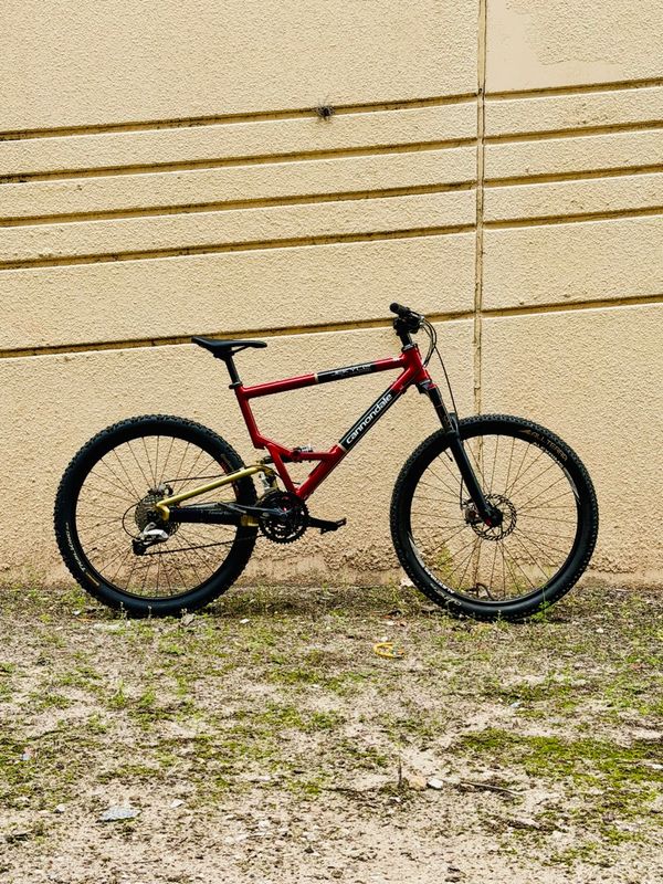Cannondale Jekyll 600 (19")